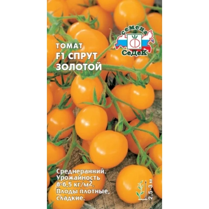 Томат F1 Спрут Золотой на ветке с плодами