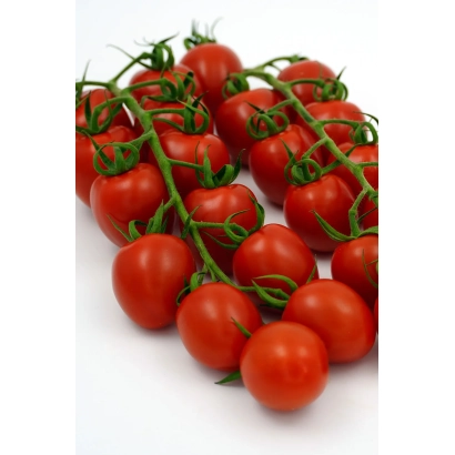 Red tomatoes on vines, no name visible - STRABINI