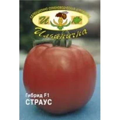 Red tomato variety STRAUS F1 on blue background