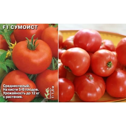 Пакет семян томата СУМОИСТ с изображением красных плодов