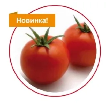 Два красных помидора на белом фоне с надписью «Новинка!» - СВ5215ТД