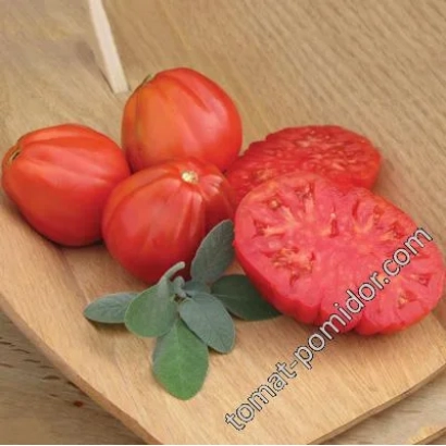 Свежие томаты на деревянной доске с веточкой зелени - 144/14