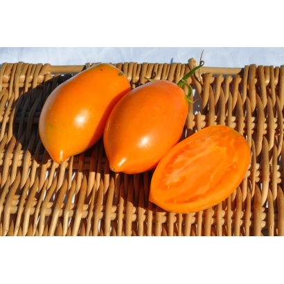 Three orange tomatoes on a woven mat - TAJENNOE ZOLOTO