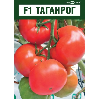 Насіння помідора F1 ТАГАНРОГ на гілці з плодами