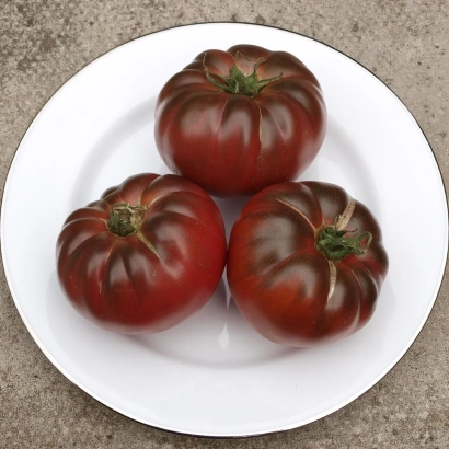 Три красных томата на белой тарелке - Тайсон