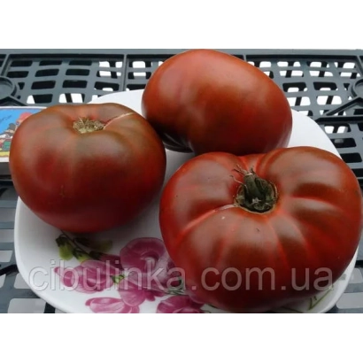 Томаты сорта Тясминский на белой тарелке с цветочным узором - Тясминський