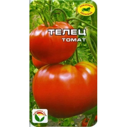 Пакет насіння томату ТЕЛІЦЯ на фоні зелени