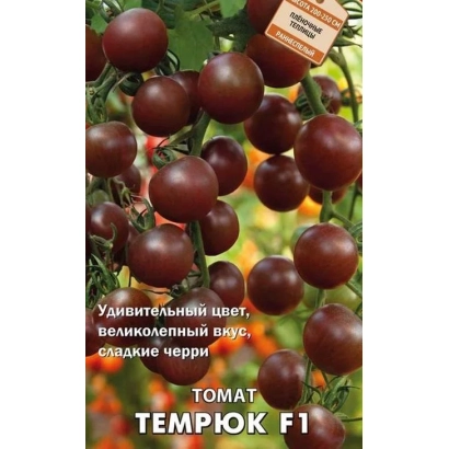 Томат Темрюк F1 на кущі з плодами