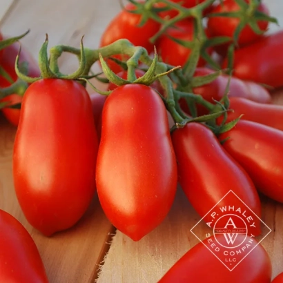 Свежие красные томаты сорта Тен АП на деревянной поверхности