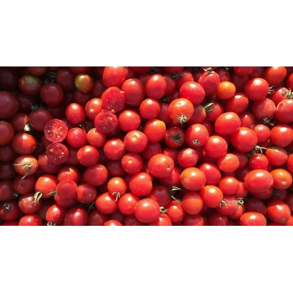 Крупный план свежих красных томатов - ТО 1435