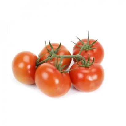 Свежие помидоры сорта Трованзо на белом фоне