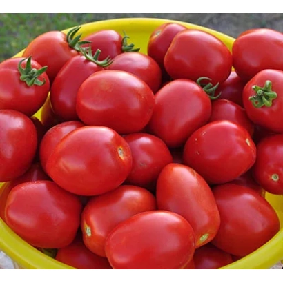 Красные томаты в желтой корзине - УСТИНЬЯ