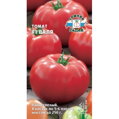 Пакет семян томата ВАЛЯ с изображением красных плодов и логотипом производителя