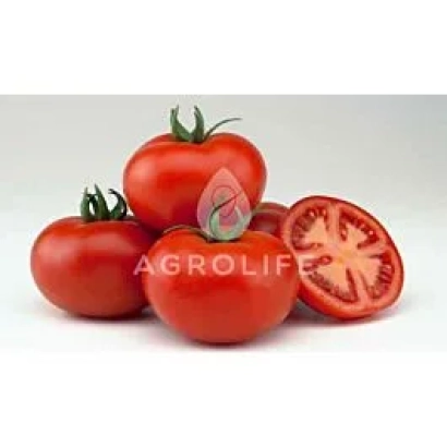 Красные томаты с логотипом AGROLIFE на переднем плане - Валдай