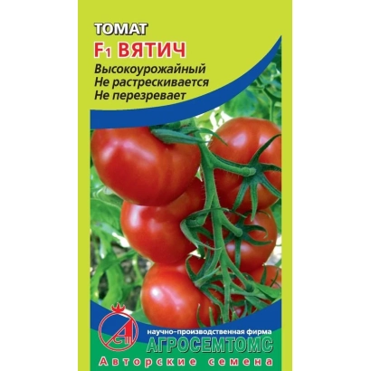 Пакет семян томата ВЯТИЧ