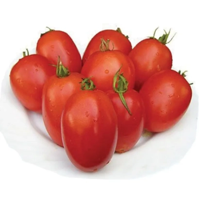 Red tomatoes variety Veloz F1 on a white plate