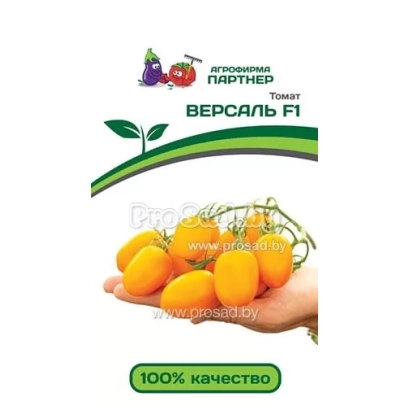 Tomato seeds Versal F1 on background of hand with fruits