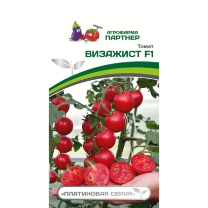 Пакет семян томата ВИЗАЖИСТ F1 на фоне куста с плодами