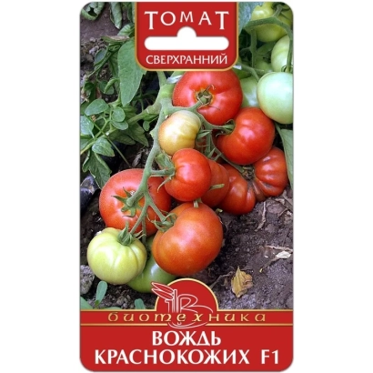 Пакет семян томата «ВОЖДЬ КРАСНОКОЖИХ F1» на фоне куста с плодами