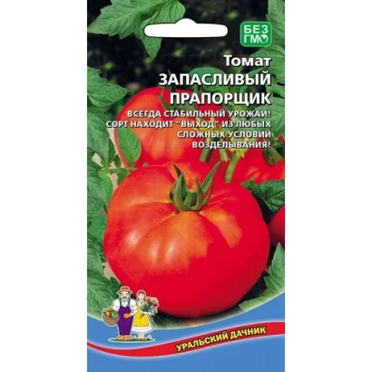 Пакет семян томата Запасливый прапорщик