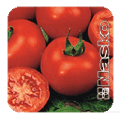 Свежие красные томаты сорта ЖАВОРОНОК F1