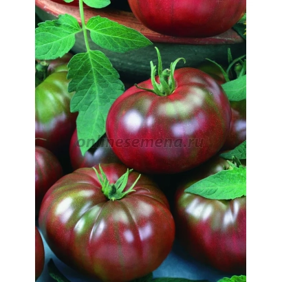 Large red tomatoes with green leaves in the background - ZEFIR IN CHOCOLATE