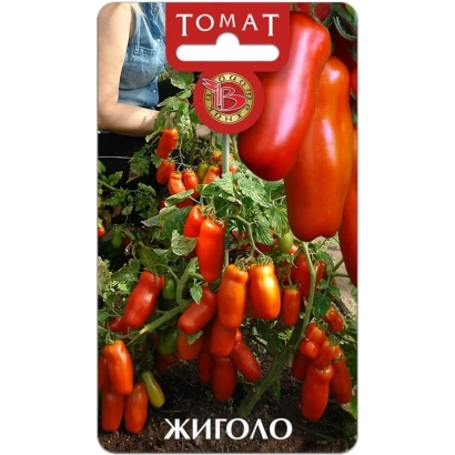 Пакет насіння помідора Жигало - ЖЕГАЛОВ