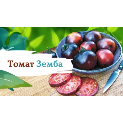 Красные томаты сорта Земба в тарелке на деревянной доске