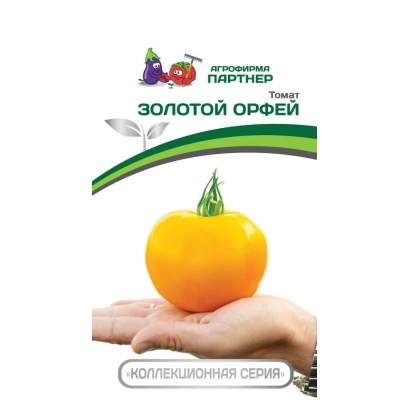 Tomato GOLDEN ORPHEUS in hand with Agrom Partner logo