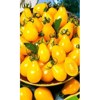 Жовті помідори Золоті Дзвончики на тарілці - ЗОЛОТІ ДЗВІНОЧКИ