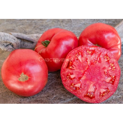 Червоні помідори на дерев'яній поверхні, один розрізаний навпіл - ЗОЛОТІ СОТИ