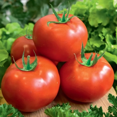 Томаты сорта Золушка на деревянной доске с зеленью