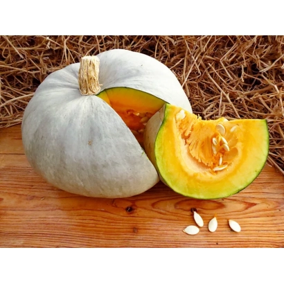 Pumpkin BABA MARFA on wooden board with seeds