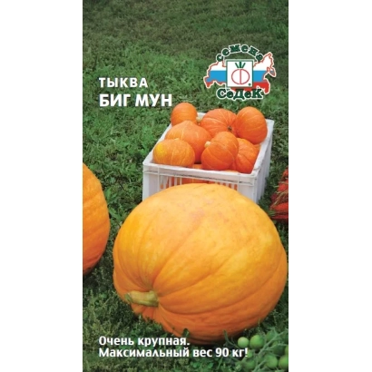 Семена тыквы Биг Мун в упаковке на фоне оранжевых плодов