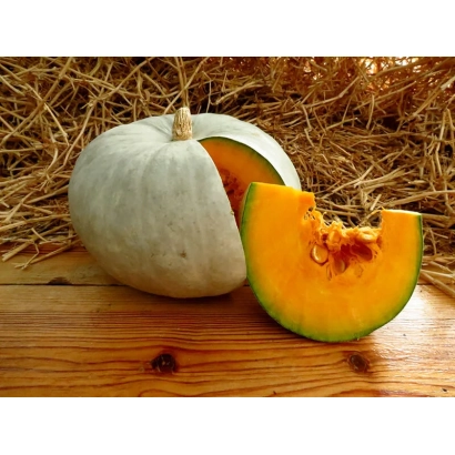 Белая тыква Былинка на деревянной поверхности с нарезанным куском