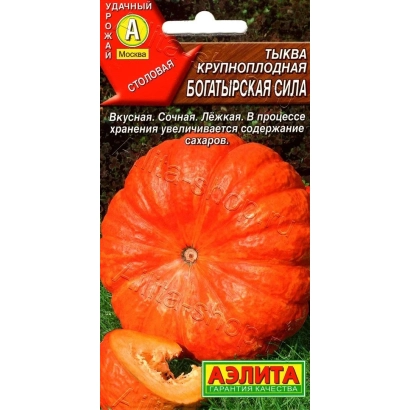 Pumpkin seeds variety Bogatyrska Sila on packaging - BOGATYRSKAYA SILA