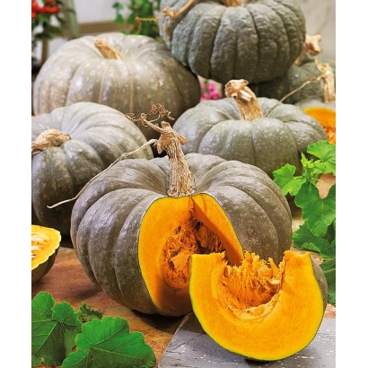 Тыквы разных сортов, одна разрезана, видна мякоть и семена - Цукатная