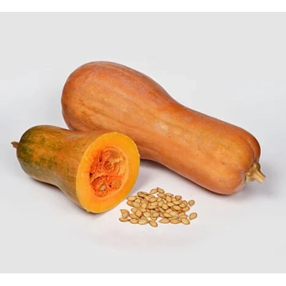 Турбока та насіння турбоки на білому фоні - Доля