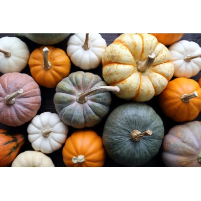 Разноцветные тыквы на фоне - Гл Рустикал