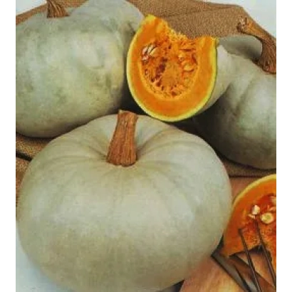 Light green pumpkin with a cut section revealing orange flesh, placed on burlap fabric. - Elegant