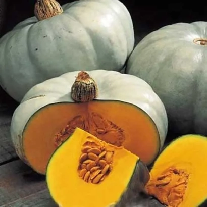 Тыква КРОШЕЧКА-ХАВРОШЕЧКА — целые и нарезанные плоды с оранжевой мякотью