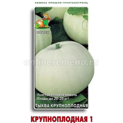 Pack of pumpkin seeds Large-fruited 1 - MUSK MELON 1