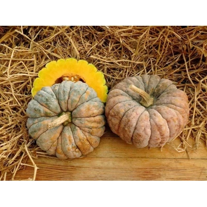 Тыквы разных сортов на соломе - КУРИДЖИМАН