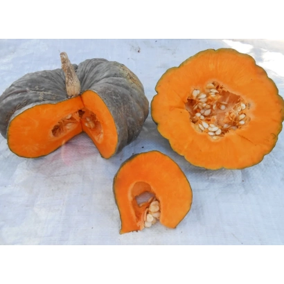 Тыква Лазурная, разрезанная, видны семена и мякоть