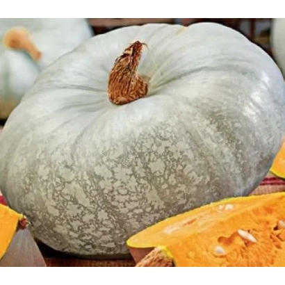 Белая тыква с текстурной поверхностью и оранжевой мякотью - Лечебная