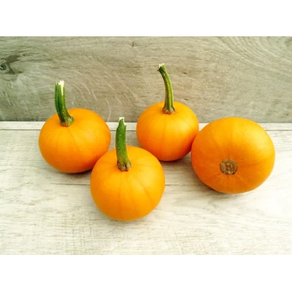 Тыква Мalyutka на деревянной поверхности - МАЛЮТКА