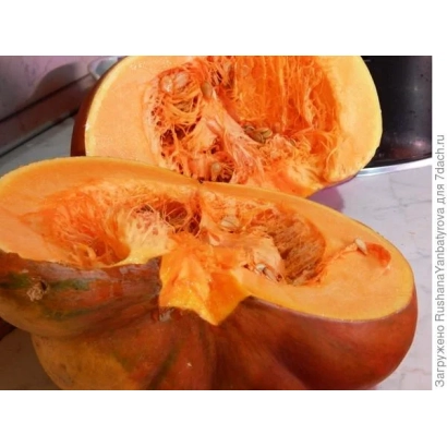 Two halves of pumpkin with orange flesh and seeds - HONEY CAKE PUMPKIN