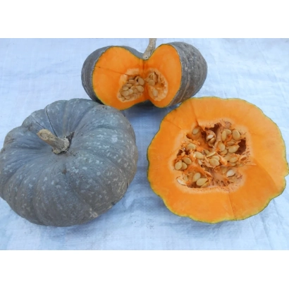 MARMOR Pumpkin: whole and sliced, seeds and flesh visible