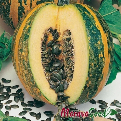 Різьомана гарбуз із насінням та логотипом Morava Seed - Ольга