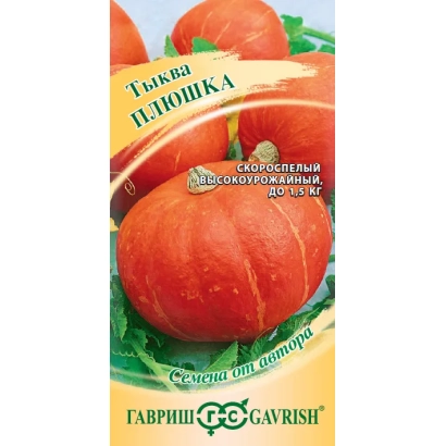 Семена тыквы Плюшка на зеленом фоне